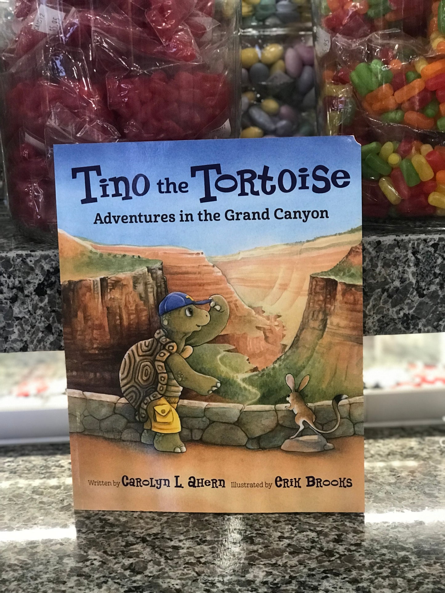 Book,Tino The Tortoise